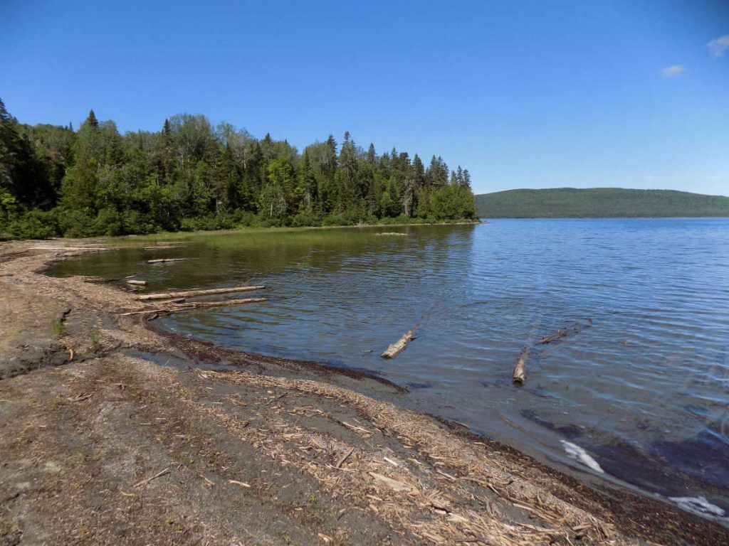 Sentier du Draveur – Randonnée pédestre au Québec